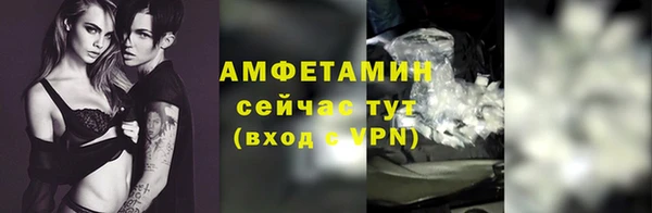 прущие грибы Михайловка