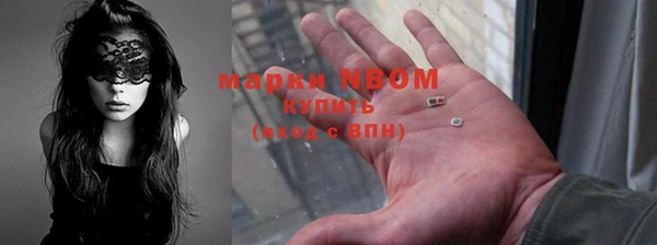 прущие грибы Михайловка