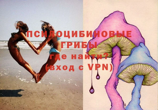 прущие грибы Михайловка