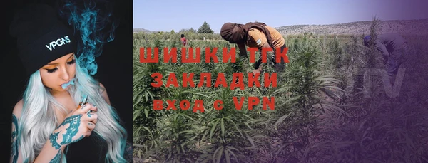 прущие грибы Михайловка