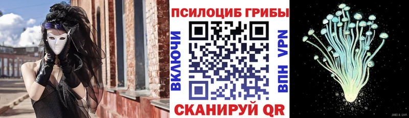 Галлюциногенные грибы MAGIC MUSHROOMS  Приволжск 