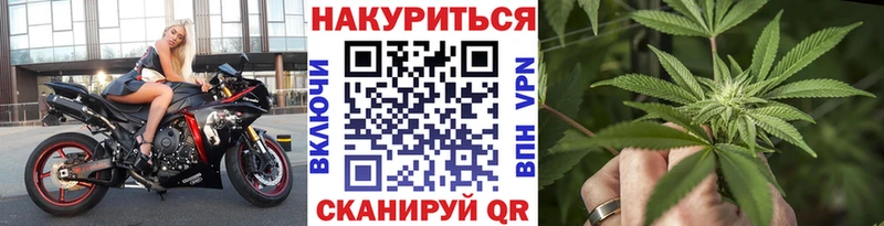 Бошки Шишки Amnesia  Приволжск 